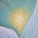 27774-01.jpg