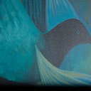 27775-01.jpg
