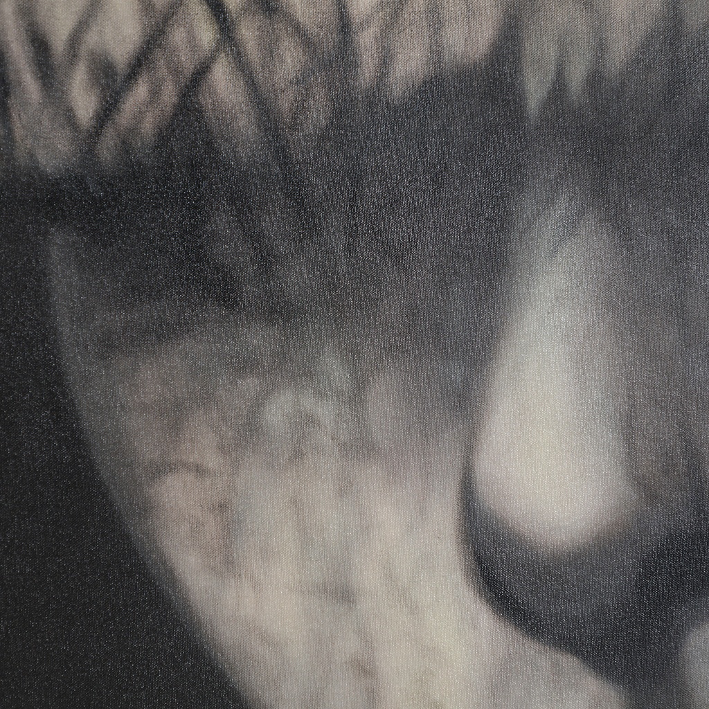 32905-01.jpg